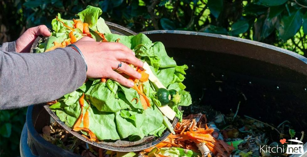 4 Smart Ways to Recycle Food Waste